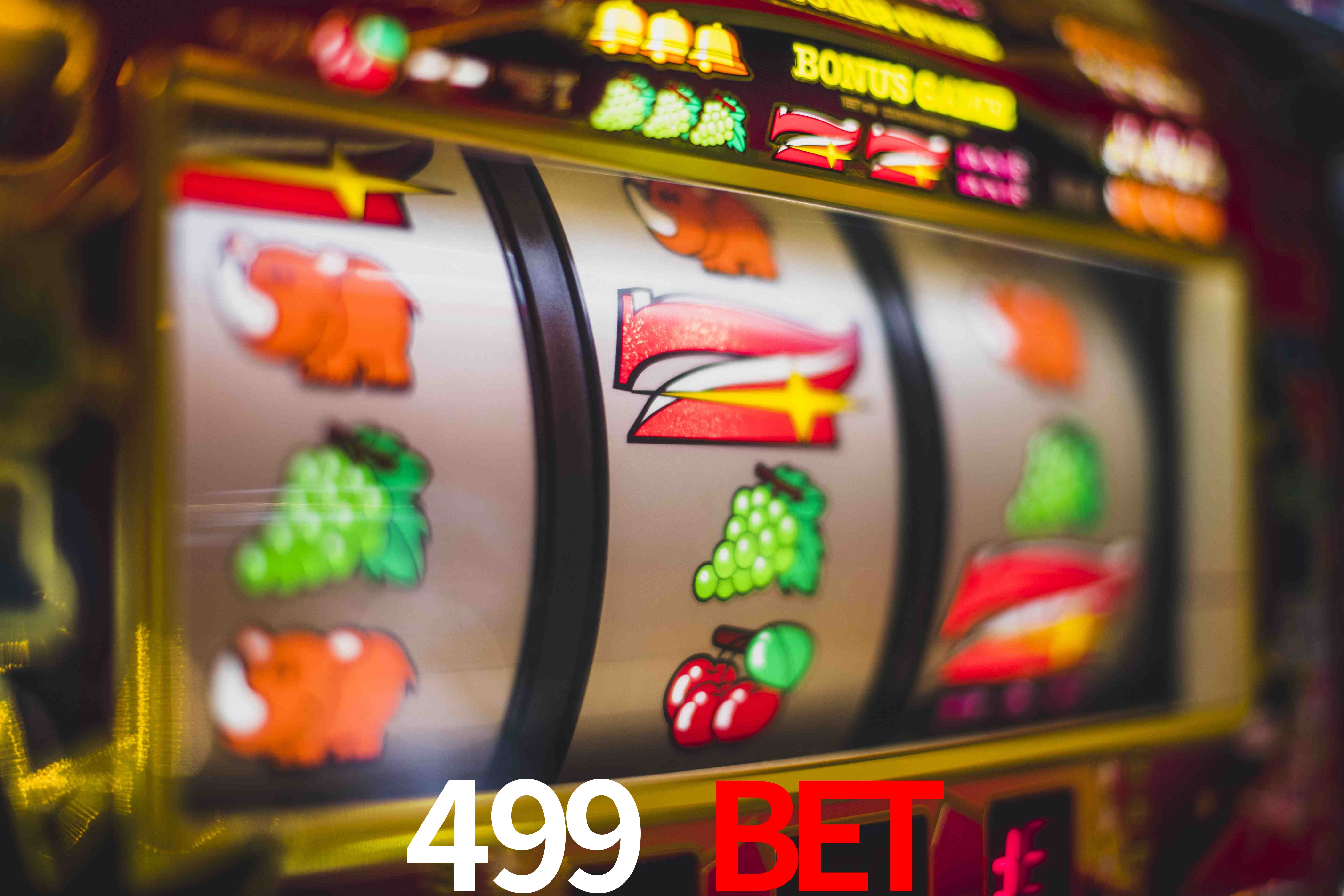 Statistics 499 bet